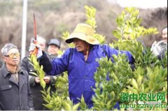 送技术下乡，助力乡村振兴