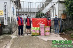 浓浓端午情，爱在敬老院
