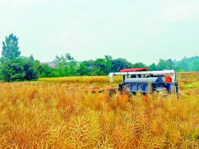 “三驾马车”并驾齐驱 资
