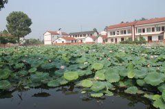 资中县公民镇幸福美丽新村